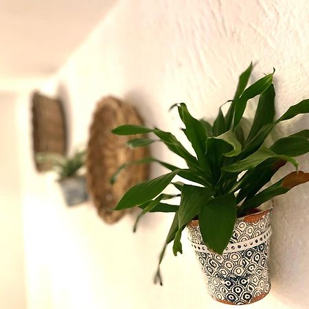 莫拉-迪巴里Casa Mia别墅 外观 照片